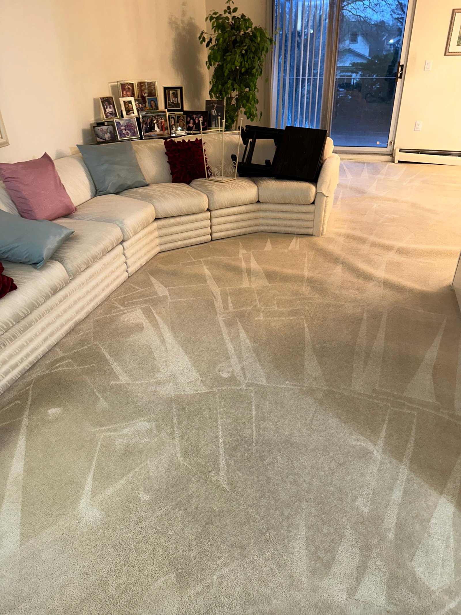 Carpet Stain Removal in The Bronx