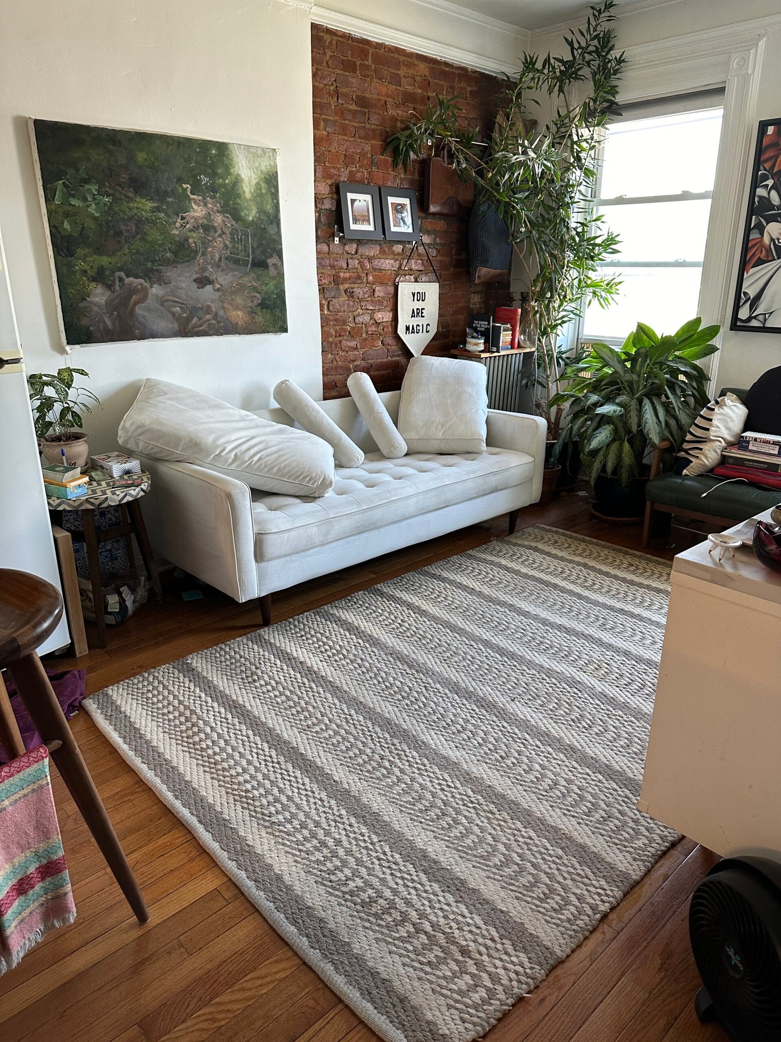 Professional Carpet and Upholstery Cleaning